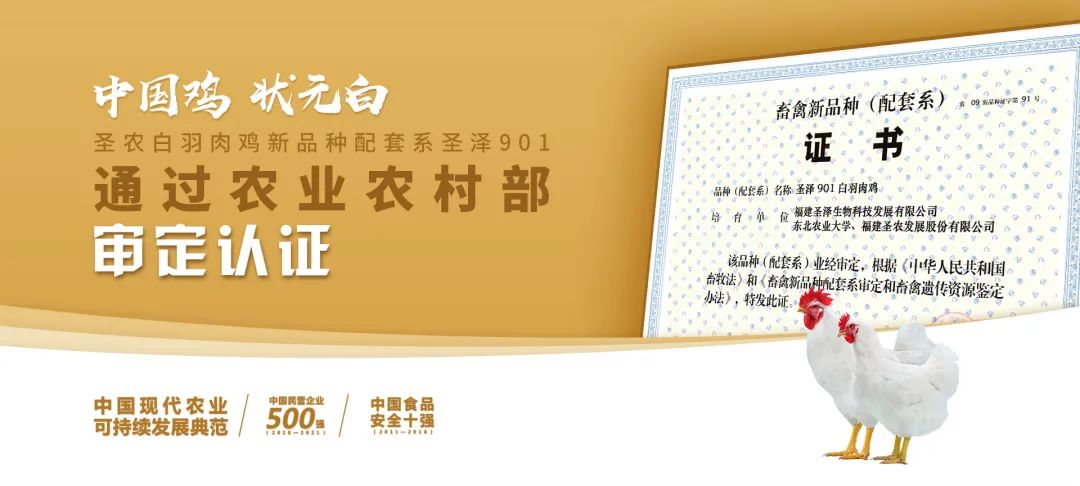 20220322152022 pg麻将胡了(PG)官方网站 - 正版试玩平台